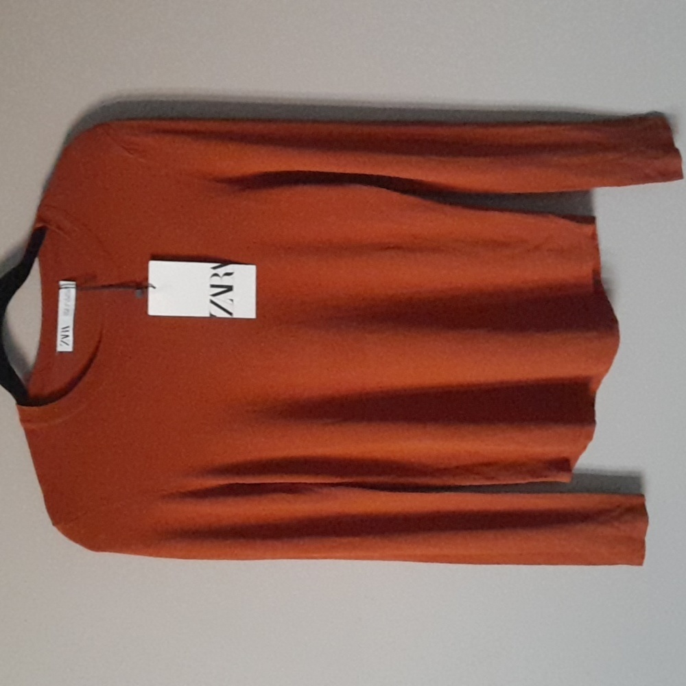 Zara Top